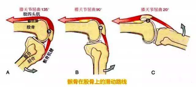 上下楼梯膝盖疼痛是什么原因