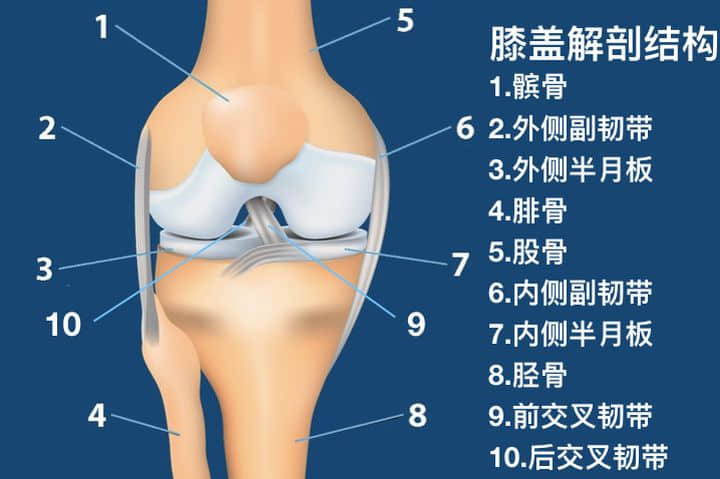 如何分辨半月板损伤还是韧带损伤？