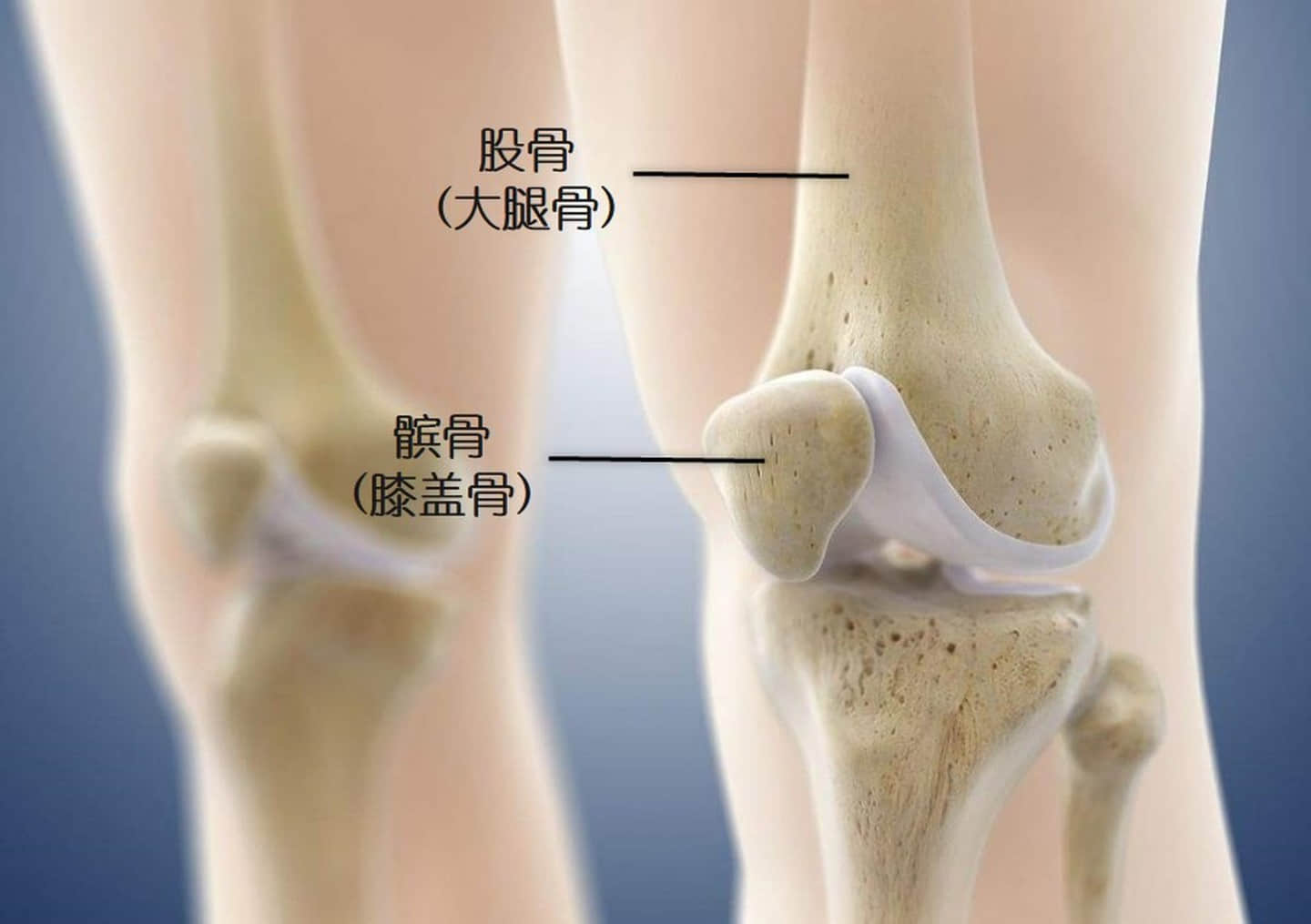 这个膝痛是最常见的运动损伤，如何自我康复？